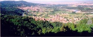 Sentieri della Collina Tori...